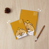 Puzzle Pintoo Book Cover A6 233pcs - KORIRI - Incredible Cat World - Big Orange Tabby