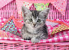 Puzzle Ravensburger - Lindo Gatito. 100 piezas