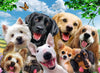 Puzzle Ravensburger - Selfie de Perros. 300 piezas-Ravensburger-Doctor Panush