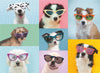 Puzzle Ravensburger - Perros con Gafas. 150 piezas