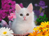Puzzle Ravensburger - Gato Brillante. 100 piezas