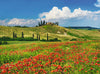 Puzzle Ravensburger - Verano en la Toscana 500 piezas-Doctor Panush