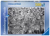 Puzzle Ravensburger - El Desafío de las Zebras 500 piezas-Doctor Panush