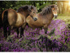 Puzzle Ravensburger - Ponis entre las Flores. 500 piezas-Ravensburger-Doctor Panush