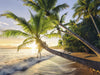 Puzzle Ravensburger - Beach Hideaway. 1500 Piezas-Doctor Panush