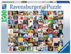 Puzzle Ravensburger - 99 Gatos. 1500 Piezas-Doctor Panush