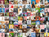 Puzzle Ravensburger - 99 Gatos. 1500 Piezas-Doctor Panush
