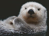 Puzzle Ravensburger - Adorable Nutria. 500 piezas