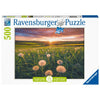 Puzzle Ravensburger - Dientes de León. 500 piezas