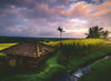 Puzzle Ravensburger - Campos de Arroz en Bali. 500 piezas