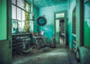 Puzzle Ravensburger - Lost Places. El Hospital Psiquiátrico. 1000 piezas-Puzzle-Ravensburger-Doctor Panush