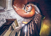 Puzzle Ravensburger - Escalera de Caracol. 1000 piezas-Puzzle-Ravensburger-Doctor Panush