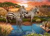 Puzzle Ravensburger - Cebras en el Abrevadero. 500 piezas