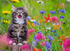 Puzzle Ravensburger - Gato en un mar de flores 300 piezas XXL-Doctor Panush