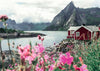 Puzzle Ravensburger - Lofoten. Noruega. 1000 piezas-Puzzle-Ravensburger-Doctor Panush
