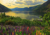 Puzzle Ravensburger - Fiordo en Noruega. 1000 piezas-Puzzle-Ravensburger-Doctor Panush