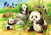 Puzzles Ravensburger - Koalas y Pandas. 2x24 piezas-Doctor Panush