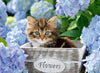 Puzzle Ravensburger 300 piezas - Gatito-Doctor Panush