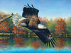 Puzzle SunsOut -Abraham Hunter - Wetlands Eagle. 1000 piezas-Puzzle-SunsOut-Doctor Panush