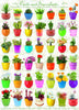 Puzzle Eurographics - Cactus & Succulents. 1000 piezas-Puzzle-Eurographics-Doctor Panush