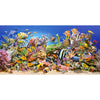 Puzzle Castorland - The Underwater Life. 4000 piezas