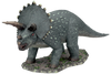 Triceratops