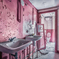 Puzzle Ravensburger - Lost Places. Baño rosa en ruinas. 1000 piezas-Puzzle-Ravensburger-Doctor Panush