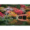 Puzzle Ravensburger - HighlightDaigo-ji, Kyoto, Japón. 1000 piezas-Puzzle-Ravensburger-Doctor Panush