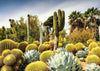 Puzzle Ravensburger - HighlightHuntington Desert Garden, California, EE.UU. 1000 piezas-Puzzle-Ravensburger-Doctor Panush