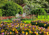 Puzzle Ravensburger - HighlightKeukenhof Gardens, Países Bajos. 1000 piezas-Puzzle-Ravensburger-Doctor Panush