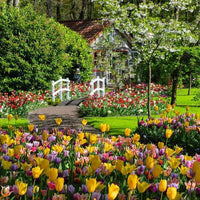 Puzzle Ravensburger - HighlightKeukenhof Gardens, Países Bajos. 1000 piezas-Puzzle-Ravensburger-Doctor Panush