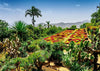 Puzzle Ravensburger - Puzzle HighlightBotanical Garden, Madeira. 1000 piezas-Puzzle-Ravensburger-Doctor Panush