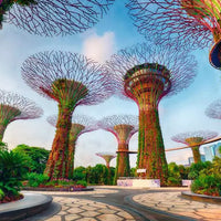 Puzzle Ravensburger - Jardín junto a la Bahía en Singapur. 1500 piezas