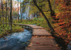 Puzzle Ravensburger - Sendero en el Bosque Otoñal. 1000 piezas