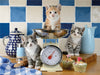 Puzzle Ravensburger - Gatitos en la cocina. 1500 piezas
