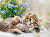 Puzzle Ravensburger - Puppies Collection: dulce gatito. 500 piezas