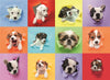 Puzzle Ravensburger - Perritos Sorpresa XXL. 300 piezas