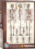 El sistema esquelético-Puzzle-Eurographics Puzzles Europe-Doctor Panush