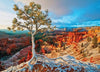 Amanecer de invierno-Puzzle-Eurographics Puzzles Europe-Doctor Panush