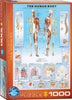 El cuerpo humano-Puzzle-Eurographics Puzzles Europe-Doctor Panush