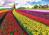 Campo de tulipanes - Países Bajos-Puzzle-Eurographics Puzzles Europe-Doctor Panush