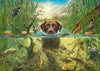 Puzzle Schmidt - Dog Love, Brown Labrador in Cool Water. 1000 piezas-Puzzle-Schmidt-Doctor Panush