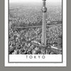 Puzzle Pintoo - Black and White - Tokyo. 1000 piezas-Puzzle-Pintoo-Doctor Panush