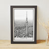 Puzzle Pintoo - Black and White - Tokyo. 1000 piezas-Puzzle-Pintoo-Doctor Panush