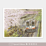 Puzzle Pintoo - Tadashi Matsumoto - Sakura in Full Bloom. 1200 piezas