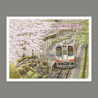 Puzzle Pintoo - Tadashi Matsumoto - Sakura in Full Bloom. 1200 piezas