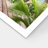 Puzzle PieceRelax - Lazy Beach Brunch. 1000 piezas-Puzzle-Pintoo-Doctor Panush