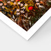 Puzzle Pintoo - Laivi Poder - Autumn Camping. 1200 piezas