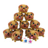 Lolly Dogs