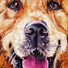 Puzzle PieceRelax - Frank Harris - Golden Retriever. 756 piezas